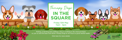Therapy Dogs came to the Square