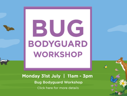 Bug Bodyguard Workshop