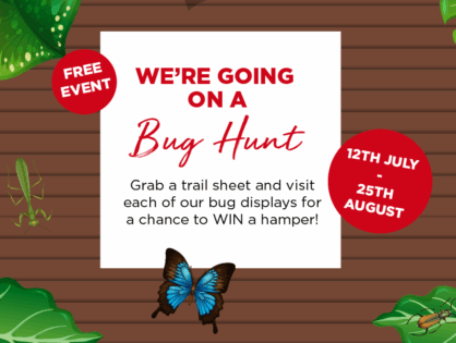 We're Going On A Bug Hunt