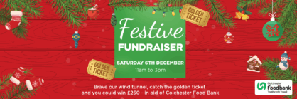 Festive Fundraiser