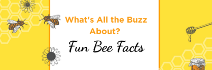 Buzzing into Summer with Bee Facts