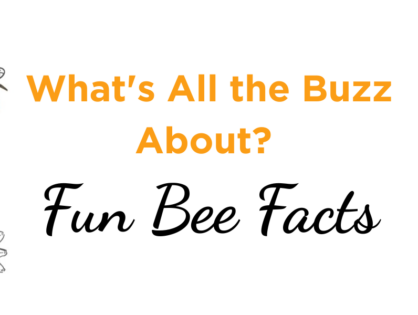 Buzzing into Summer with Bee Facts
